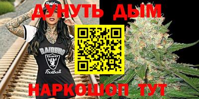 скорость Гатчина