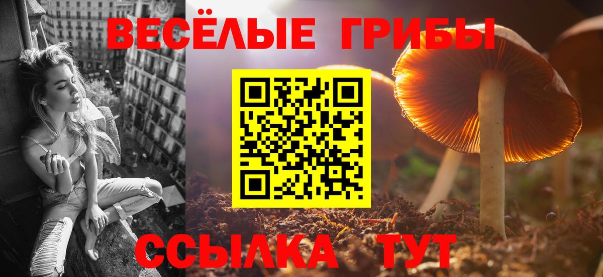 Псилоцибиновые грибы MAGIC MUSHROOMS Гурьевск