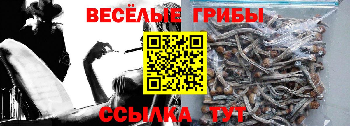 наркота  Псилоцибиновые грибы прущие грибы  Псилоцибиновые грибы Magic Shrooms  Вход с VPN  Гурьевск 